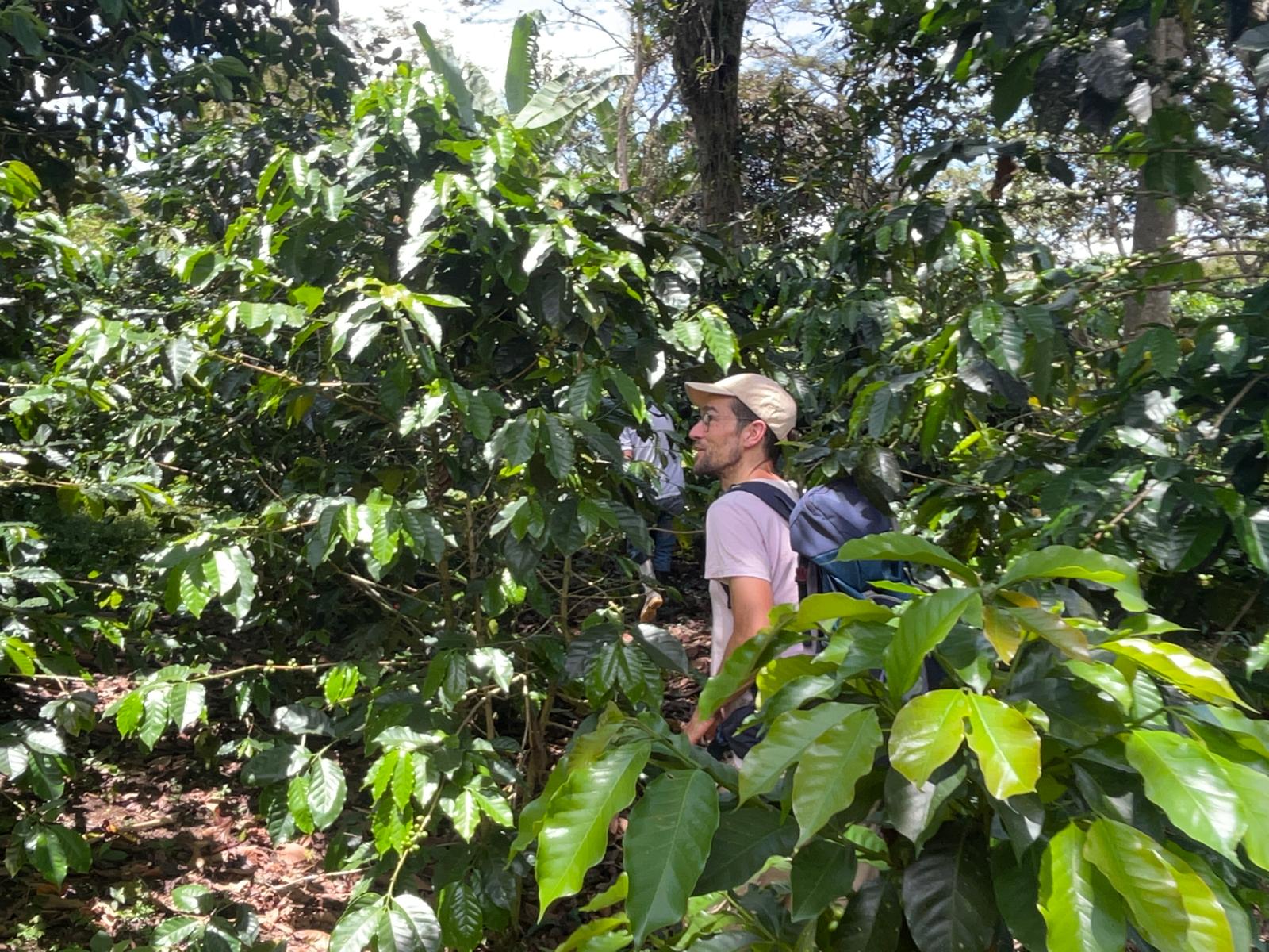 Christoph von Yapa Coffee